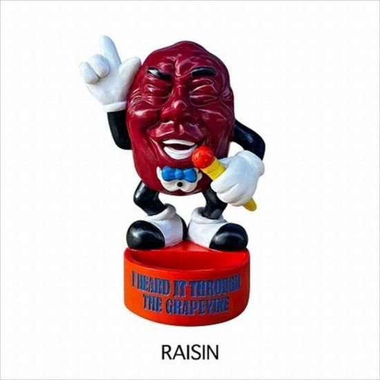 RAISINȥ졼դ å 쥸 ȥ쥤 塼