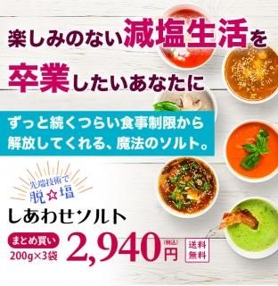 価格がつけられない物 エイジリバースソルト いのちの塩 新品未開封 塗り