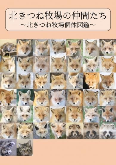 福袋特集 2024 北きつね牧場の仲間たち～北きつね牧場個体図鑑～ 北きつね牧場 | シーリングライト・天井照明