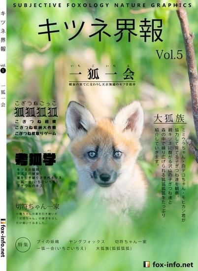 北のきつね⁂プロフィールご一読下さい⁂ キツネと鬼ごっこ🦊Tag with the Fox. 🦊junior♂ そもそも