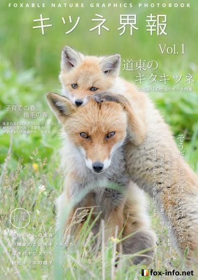 キタキツネ写真集「キツネ界報」 Vol.1 道東のキタキツネ | 北きつね牧場