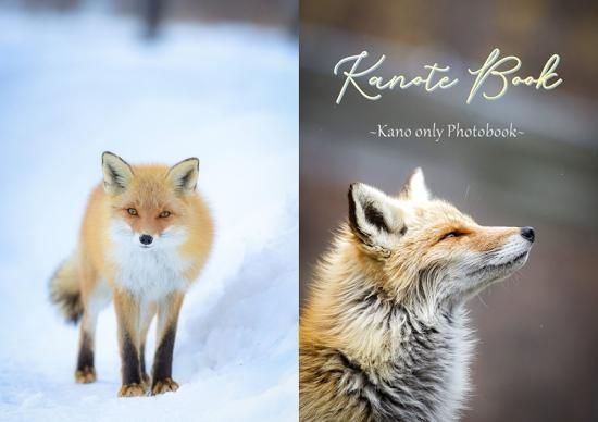 ポンキツネページ Kanote Book ~Kano only Photobook~ | 北きつね牧場