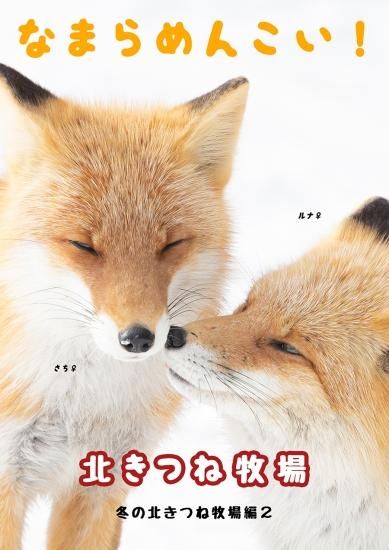 キタキツネ写真集「なまらめんこい!北きつね牧場」-冬の北きつね牧場編