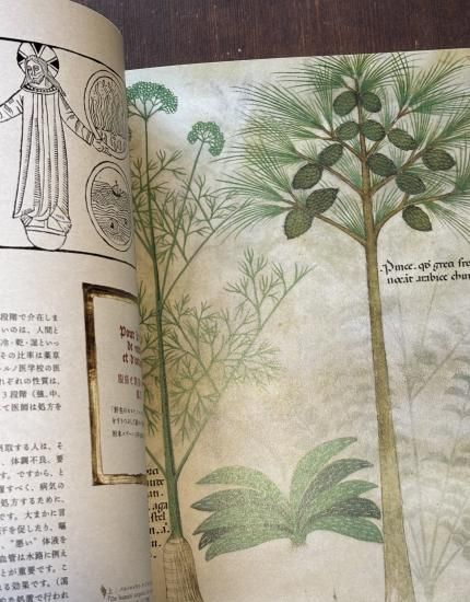 新装版】ひみつの薬箱 中世装飾写本で巡る薬草の旅 - BOTANICAL