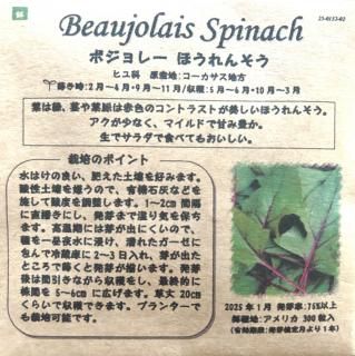 <img class='new_mark_img1' src='https://img.shop-pro.jp/img/new/icons32.gif' style='border:none;display:inline;margin:0px;padding:0px;width:auto;' />ܥ졼 ۤ