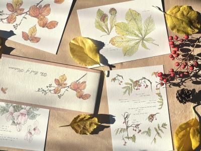 ּˡۥݥȥɡ41ˡɮ䵥å