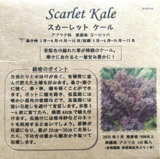 <img class='new_mark_img1' src='https://img.shop-pro.jp/img/new/icons13.gif' style='border:none;display:inline;margin:0px;padding:0px;width:auto;' />åȥ