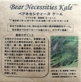 <img class='new_mark_img1' src='https://img.shop-pro.jp/img/new/icons13.gif' style='border:none;display:inline;margin:0px;padding:0px;width:auto;' />٥ͥƥ