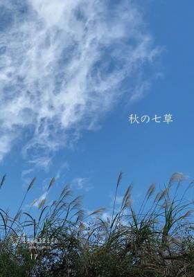 <img class='new_mark_img1' src='https://img.shop-pro.jp/img/new/icons13.gif' style='border:none;display:inline;margin:0px;padding:0px;width:auto;' />Idellife with Plants 17桡μ