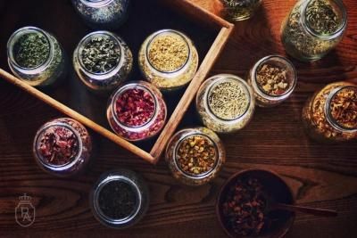 12/20()12:30&#12316;βPFLANZEN-APOTHEKE ꥹޥƥ֥ɥå