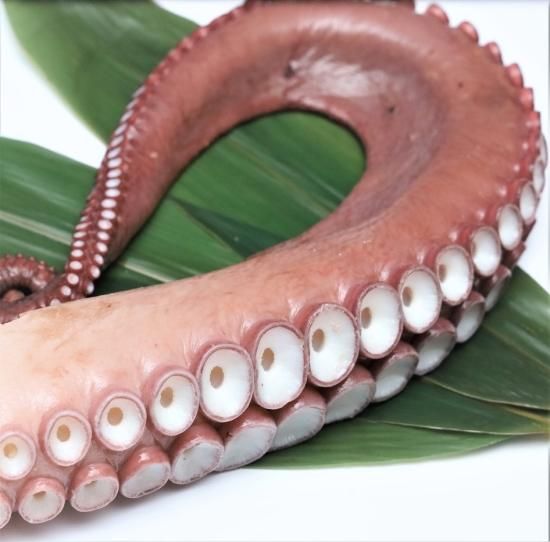 純粋知床産 活ゆでたこ足刺身 3D急速冷凍 | 鮮度・味わいに