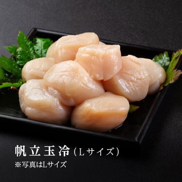 【北海道オホーツク】帆立玉冷(L／500g) 