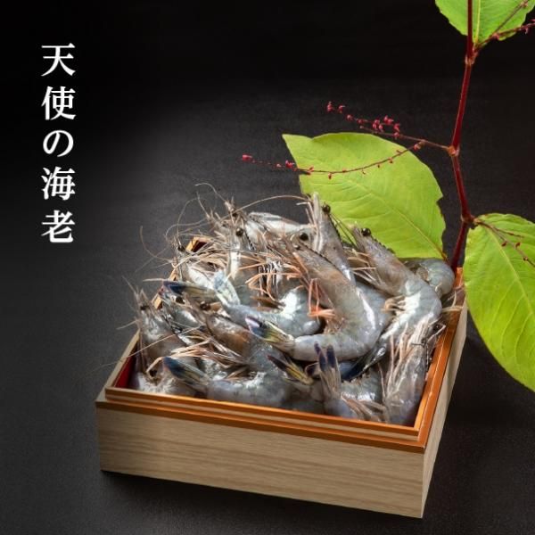  天使の海老(1kg／約30～40尾) 