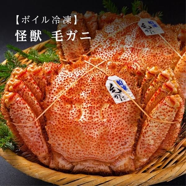 北海道産】 怪獣 毛ガニセット（1kg × 2）（2kg） - 北海道お取り寄せ