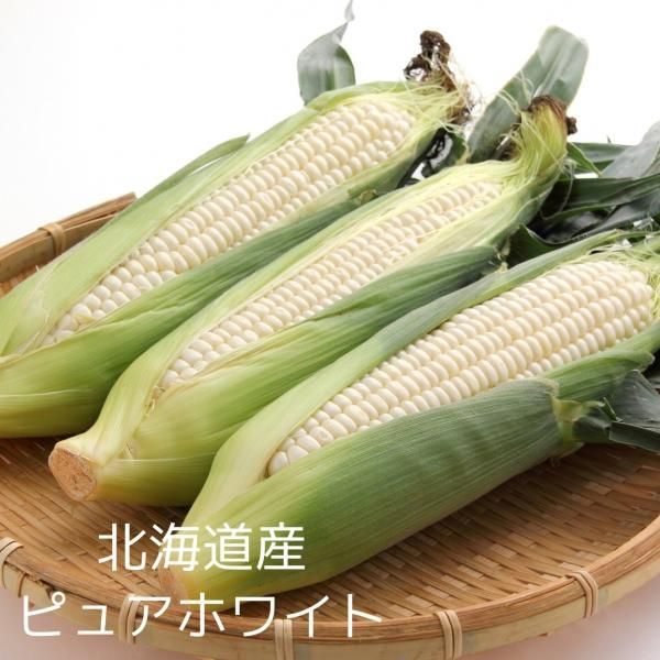 ̵̳ۡƻۥԥ奢ۥ磻 2L(8)<img class='new_mark_img2' src='https://img.shop-pro.jp/img/new/icons1.gif' style='border:none;display:inline;margin:0px;padding:0px;width:auto;' />