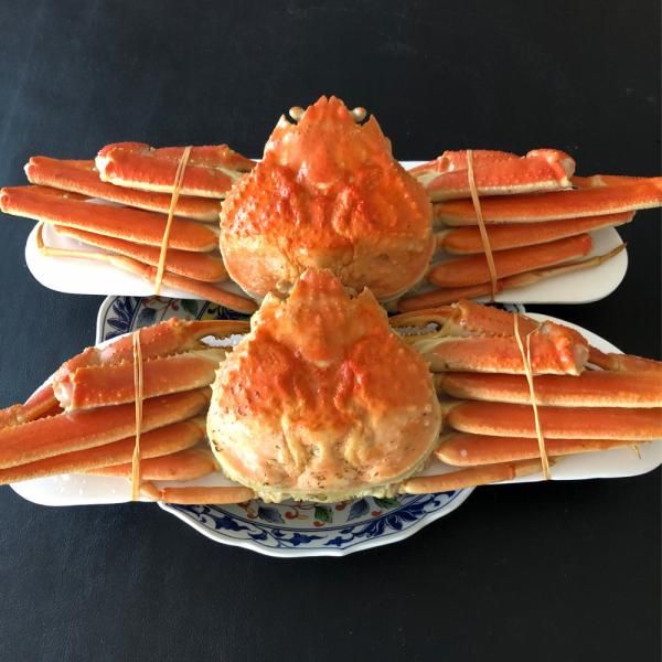 ܥ ܥ磻ѡ4kgˡ1800g5<img class='new_mark_img2' src='https://img.shop-pro.jp/img/new/icons25.gif' style='border:none;display:inline;margin:0px;padding:0px;width:auto;' />