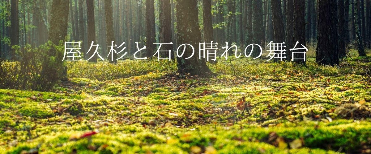 屋久杉ルース・屋久杉ビーズ・屋久杉アクセサリーの屋久杉専門店通販｜屋久杉と石の晴れの舞台