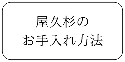 ׿Τˡ,׿꡼,׿֥쥹å,׿ӡ,׿,ͥå쥹,ե˥åĥ꡼,׿롼,ʪ,֥,symphonic,,ʪ,ʼ,,Ź