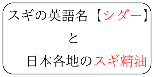 αѸ̾ܳϤΥ,׿꡼,׿֥쥹å,׿ӡ,׿,ͥå쥹,׿롼,ե˥åĥ꡼,ʪ,֥,symphonic,,ʪ,ʼ,,Ź