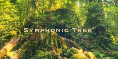 SYMPHONICTREE,׿꡼,׿֥쥹å,׿ӡ,׿,ͥå쥹,ե˥åĥ꡼,׿ѥߥ,ࡼ饤ȥѥ,MOONLIGHTPATH,,׿Ź,