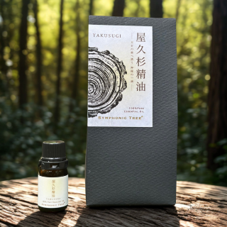 <img class='new_mark_img1' src='https://img.shop-pro.jp/img/new/icons12.gif' style='border:none;display:inline;margin:0px;padding:0px;width:auto;' />׿3ml