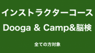 󥹥ȥ饯Camp&Dooga&Ǿ