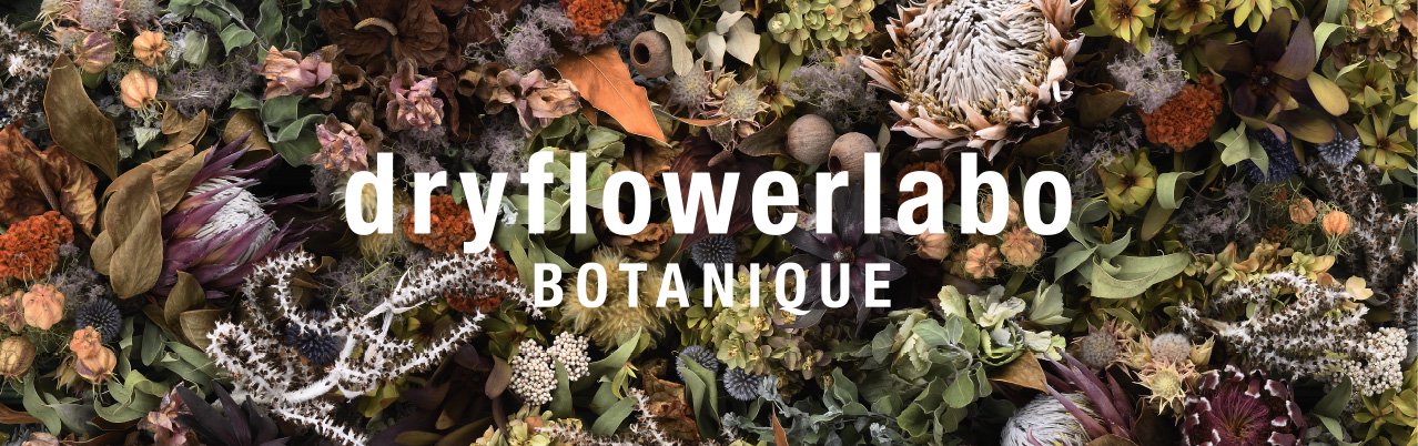 dryflowerlabo BOTANIQUE : 株式会社ボタニーク ドライフラワーラボ事業部
