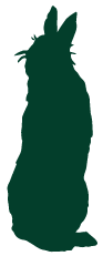 ȥ륢
