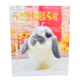 <img class='new_mark_img1' src='https://img.shop-pro.jp/img/new/icons1.gif' style='border:none;display:inline;margin:0px;padding:0px;width:auto;' />餹 No.97