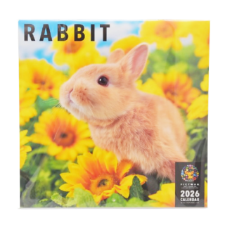 <img class='new_mark_img1' src='https://img.shop-pro.jp/img/new/icons1.gif' style='border:none;display:inline;margin:0px;padding:0px;width:auto;' />RABBIT 2026 PICTWAN CALENDAR