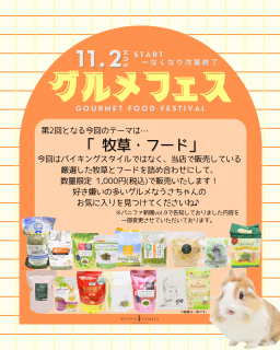 11/2()䳫ϡۥե