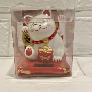 Ɀʡǭǭ顼ʪ꿶ꡡưưۥ磻