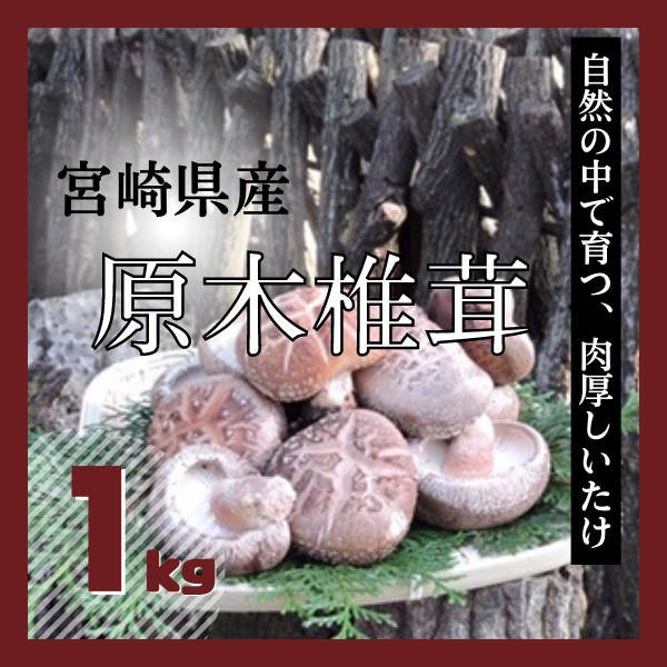 【予約販売】宮崎県産　原木しいたけ　1kg