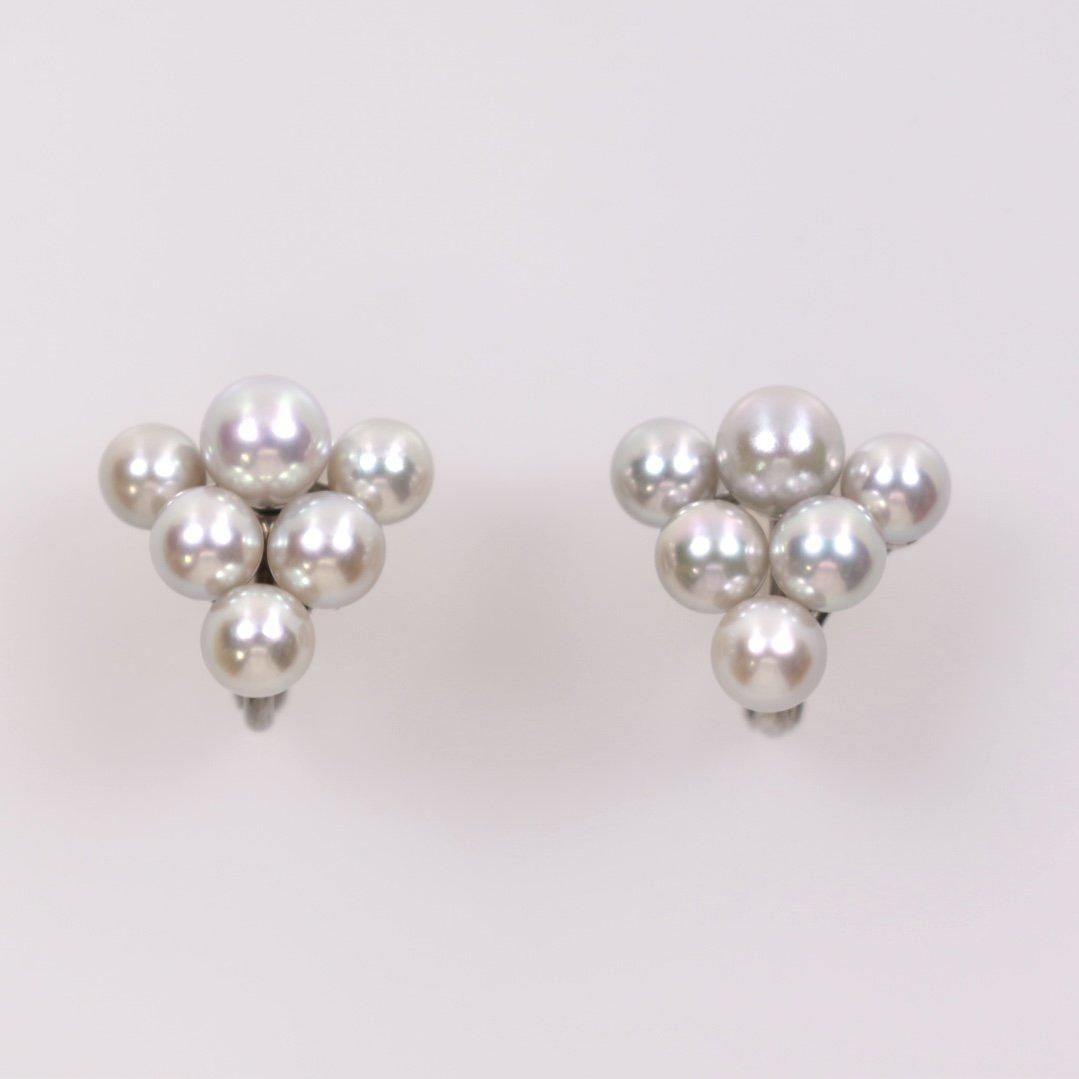 SV ϥѻ ̵Ĵ俿ʥ֥롼