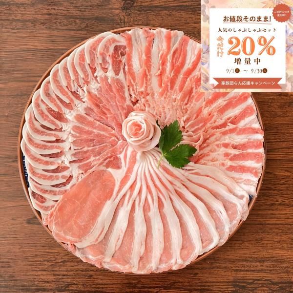 ڲ²Ĥ ֤֥å20%̡۱۸֤ ֤ 3糧å /Х/ 600gʷ1.8kg