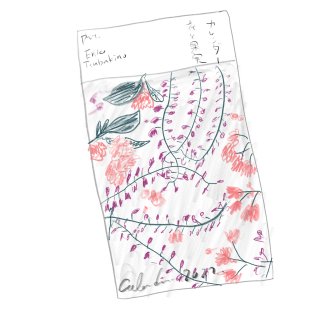 椿野恵里子 カレンダー 花と果実 2022