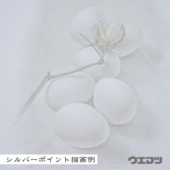 シルバーポイント　銀筆画 シルバーポイント（銀筆） - uematsu online shop