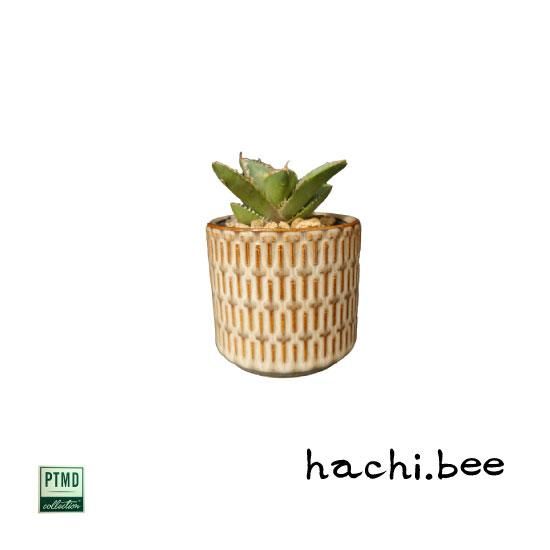 PTMDコレクション植木鉢