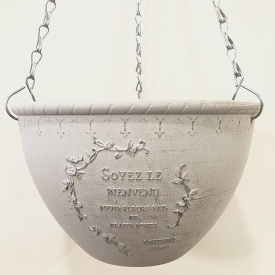 人気ブランド 海外通販 - 国内入手困難 セール♪ お買い得商品 - 鉢bee 塊根植物・コーデックス