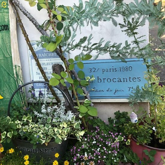 ガーデンアクセサリー - 鉢bee 植木鉢と雑貨小物店 オンライン
