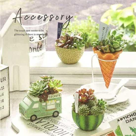 ちいさな植木鉢 - 鉢bee 植木鉢と雑貨小物店 オンラインショップ ちいさな植木鉢 - 鉢bee 植木鉢と雑貨小物店 オンラインショップ