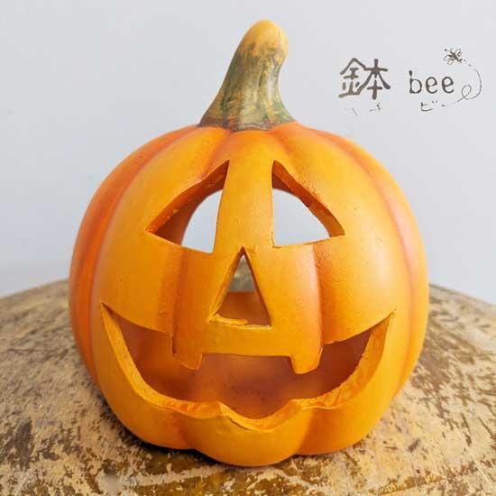 ハロウィン パンプキンSSオーナメント | カボチャ ガーデン