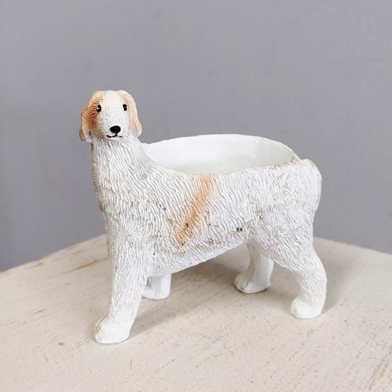 【希少大型49cm超】こね鉢 木製 蕎麦打ち・うどん打ち・猫ベッド・インテリア 希少大型49cm超】こね鉢 木製 蕎麦打ち・うどん打ち・猫ベッド・インテリア