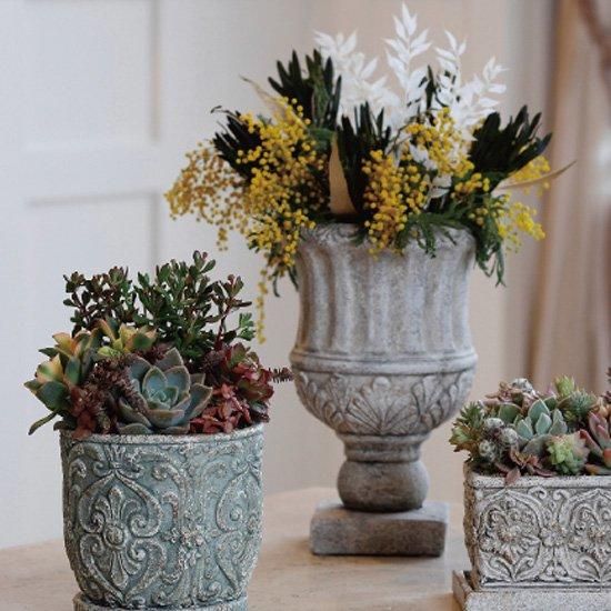 invisible ink THE CAP BONES 鉢 G.アンティーク風 カップ鉢 多肉植物