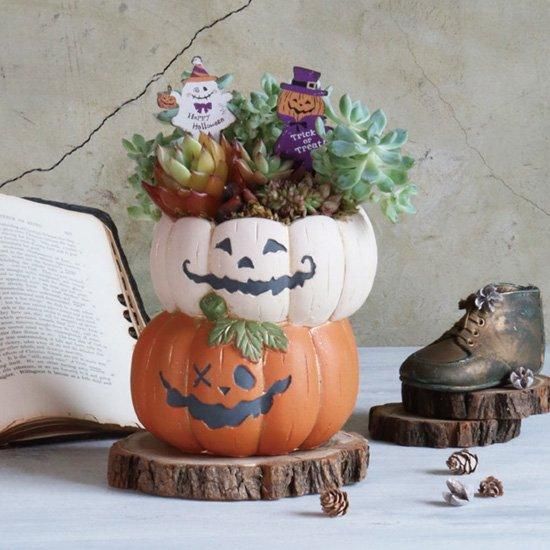 ハロウィン ジャックオーランタン モンチッチ ハロウィン ジャックオーランタン モンチッチ
