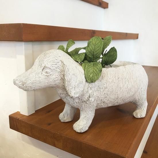 <img class='new_mark_img1' src='https://img.shop-pro.jp/img/new/icons14.gif' style='border:none;display:inline;margin:0px;padding:0px;width:auto;' />ƥݥåȡWHåȭĎގޡ襤ȭۥ磻ȡ