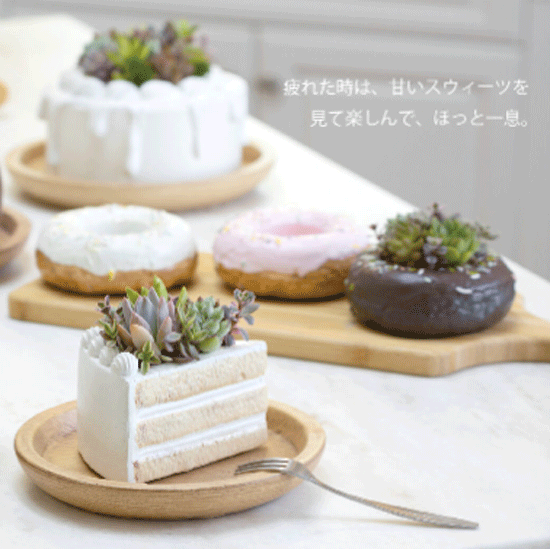 <img class='new_mark_img1' src='https://img.shop-pro.jp/img/new/icons11.gif' style='border:none;display:inline;margin:0px;padding:0px;width:auto;' />ơ硼ȥ3餪Ӳޤ祳ȥ٥꡼ۥ磻ȡ¿ʪȭ襤ȭ