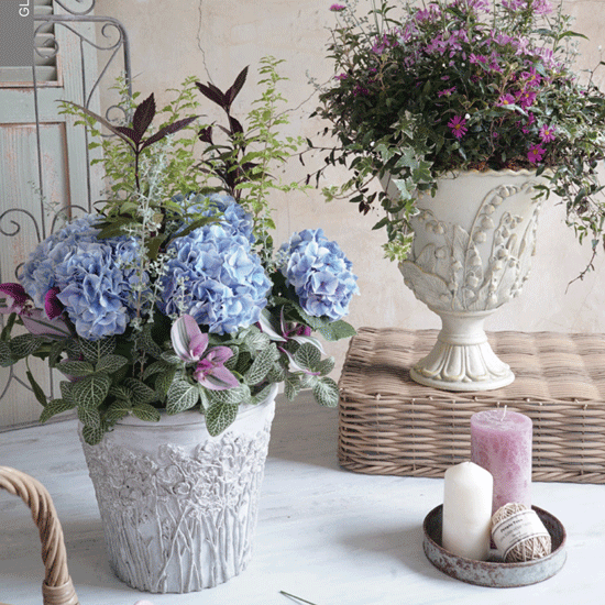 <img class='new_mark_img1' src='https://img.shop-pro.jp/img/new/icons14.gif' style='border:none;display:inline;margin:0px;padding:0px;width:auto;' />ߥ奲꡼١åS   饹եСȭ졡ʥå㥶󥰡󤻿졡ۥ磻ȡ֤䤫