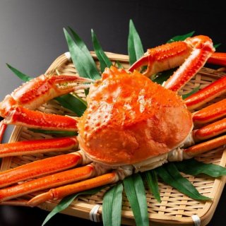 磻 ܥ 祵 800Up ɤʪ