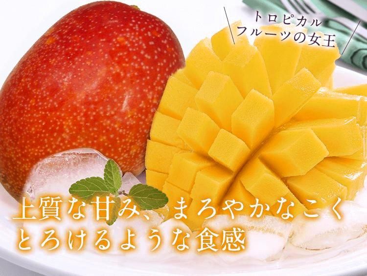 宮崎産完熟マンゴー2玉大玉サイズ(2L) 宮崎産完熟マンゴー2玉大玉サイズ(2L)